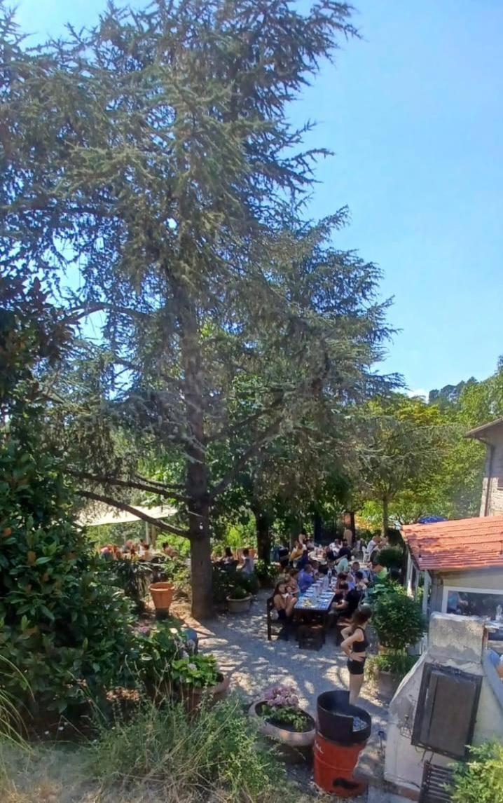 Ala Di Maniero In Agriturismo Valdrago In Toscana, Nel Verde Mugello Sulle Colline Di Firenze Borgo San Lorenzo Ngoại thất bức ảnh