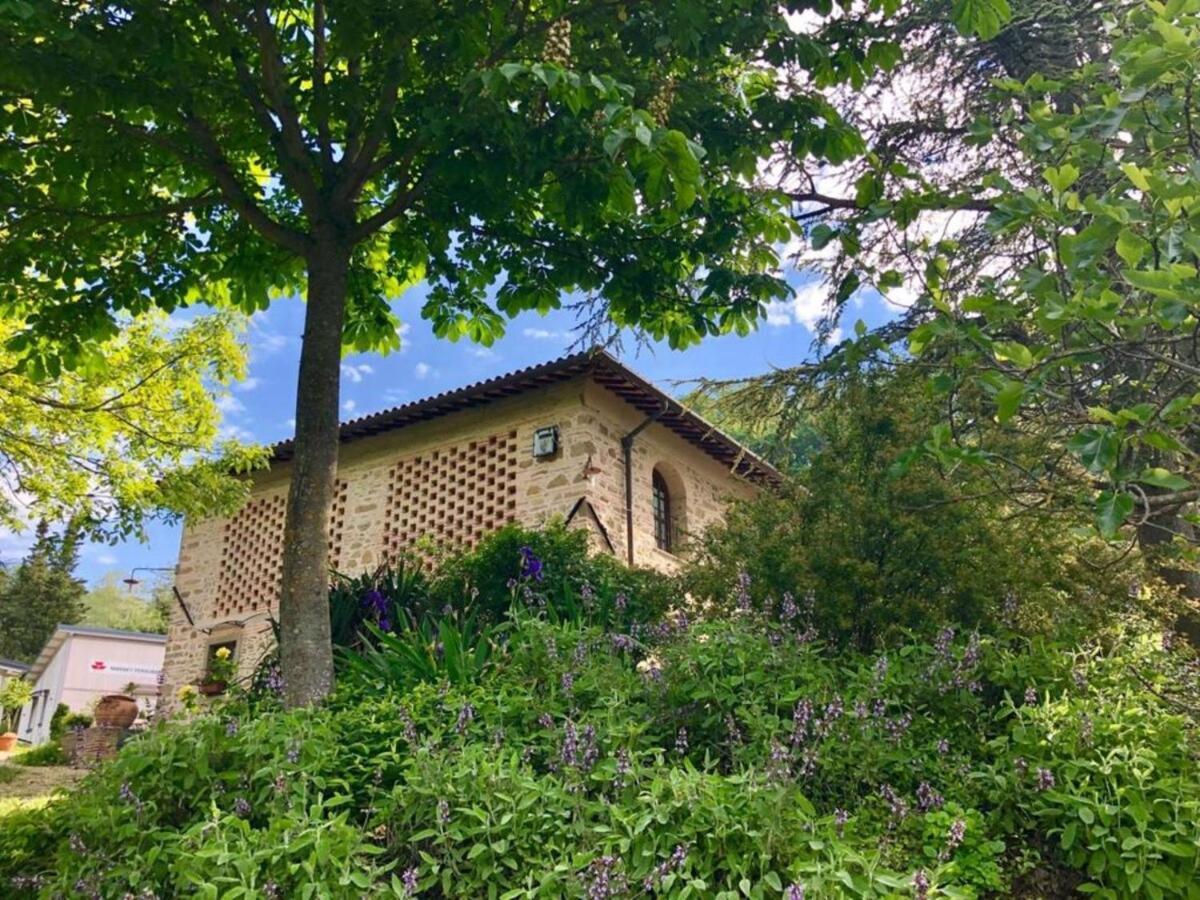 Ala Di Maniero In Agriturismo Valdrago In Toscana, Nel Verde Mugello Sulle Colline Di Firenze Borgo San Lorenzo Ngoại thất bức ảnh
