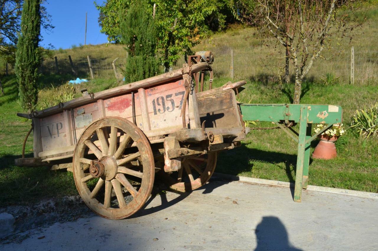 Ala Di Maniero In Agriturismo Valdrago In Toscana, Nel Verde Mugello Sulle Colline Di Firenze Borgo San Lorenzo Ngoại thất bức ảnh