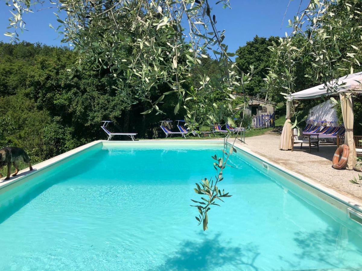 Ala Di Maniero In Agriturismo Valdrago In Toscana, Nel Verde Mugello Sulle Colline Di Firenze Borgo San Lorenzo Ngoại thất bức ảnh
